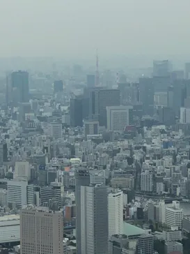 東京スカイツリーに投稿された画像（2020/10/3）