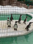 天王寺動物園に投稿された画像（2020/10/4）