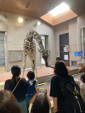 天王寺動物園に投稿された画像（2020/10/3）