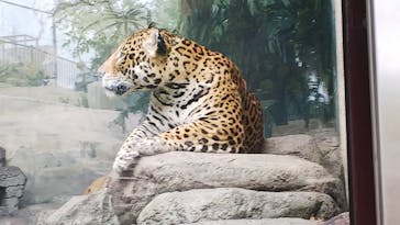 天王寺動物園に投稿された画像（2020/10/3）