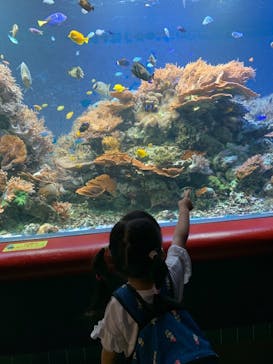 株式会社Gに投稿された画像（2020/10/3）