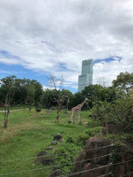 天王寺動物園に投稿された画像（2020/10/3）