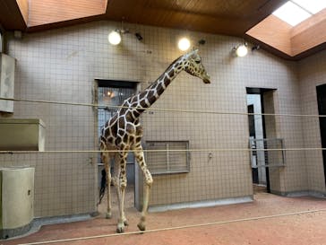 天王寺動物園に投稿された画像（2020/10/3）