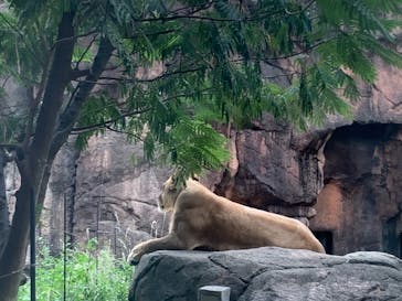 天王寺動物園に投稿された画像（2020/10/3）