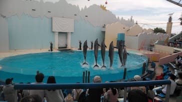 株式会社Gに投稿された画像（2020/10/4）