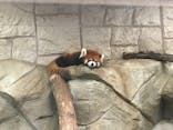 天王寺動物園に投稿された画像（2020/10/4）