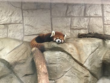 天王寺動物園に投稿された画像（2020/10/4）