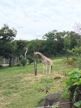 天王寺動物園に投稿された画像（2020/10/4）