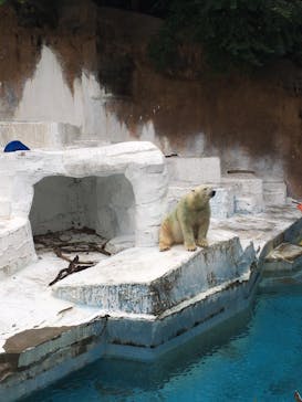 天王寺動物園に投稿された画像（2020/10/4）