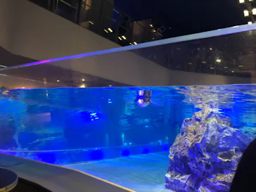 すみだ水族館に投稿された画像（2020/10/4）