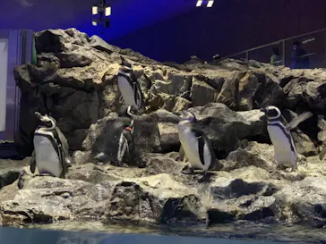 すみだ水族館に投稿された画像（2020/10/4）