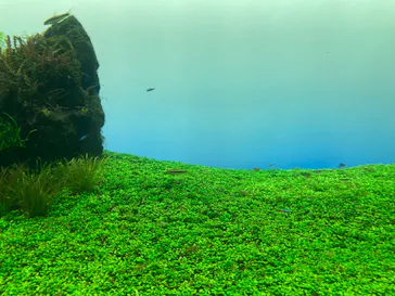 すみだ水族館に投稿された画像（2020/10/4）