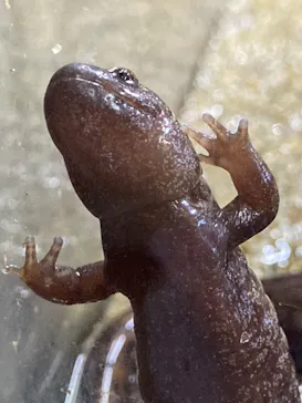すみだ水族館に投稿された画像（2020/10/4）