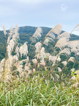 湯沢高原スキー場/パノラマパークに投稿された画像（2020/10/4）