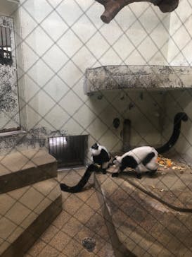 天王寺動物園に投稿された画像（2020/10/4）