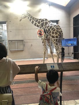 天王寺動物園に投稿された画像（2020/10/4）