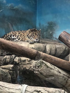 天王寺動物園に投稿された画像（2020/10/4）