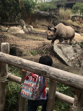 天王寺動物園に投稿された画像（2020/10/4）
