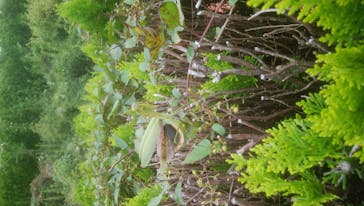 東京サマーランドに投稿された画像（2020/10/4）