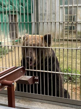 東武動物公園に投稿された画像（2020/10/4）
