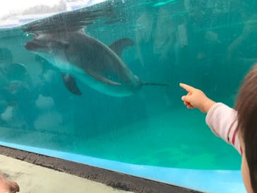 しながわ水族館に投稿された画像（2020/10/4）
