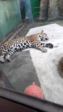 天王寺動物園に投稿された画像（2020/10/4）