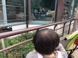 天王寺動物園に投稿された画像（2020/10/4）
