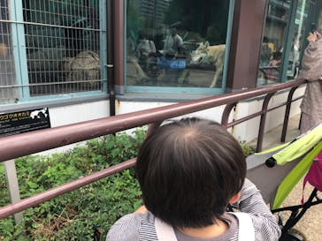 天王寺動物園に投稿された画像（2020/10/4）