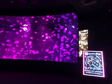 サンシャイン水族館に投稿された画像（2020/10/4）