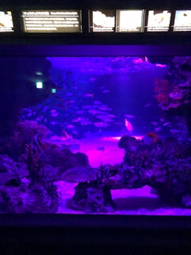 サンシャイン水族館に投稿された画像（2020/10/4）