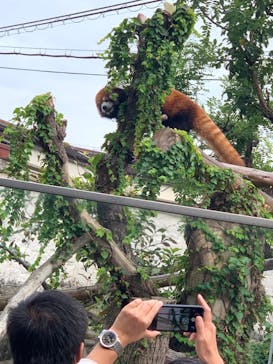 天王寺動物園に投稿された画像（2020/10/4）