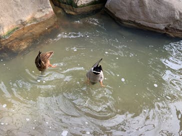 天王寺動物園に投稿された画像（2020/10/4）