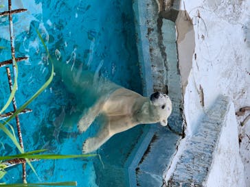 天王寺動物園に投稿された画像（2020/10/4）