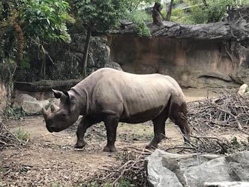 天王寺動物園に投稿された画像（2020/10/4）
