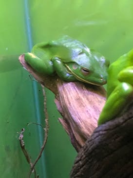 サンシャイン水族館に投稿された画像（2020/10/4）