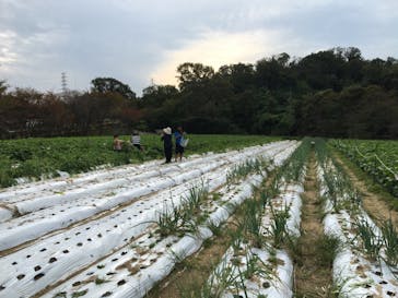 農業公園信貴山のどか村に投稿された画像（2020/10/4）