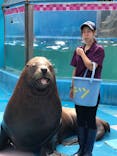 ゼロ距離水族館 伊勢シーパラダイスに投稿された画像（2020/10/4）