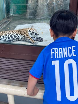 天王寺動物園に投稿された画像（2020/10/4）