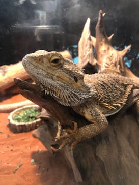 天王寺動物園に投稿された画像（2020/10/4）