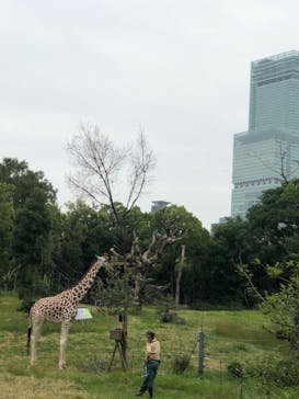 天王寺動物園に投稿された画像（2020/10/4）
