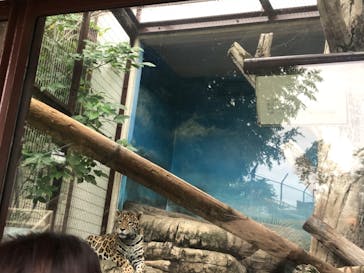 天王寺動物園に投稿された画像（2020/10/4）