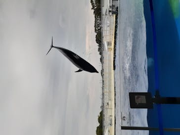 京都水族館に投稿された画像（2020/10/4）