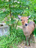 天王寺動物園に投稿された画像（2020/10/4）