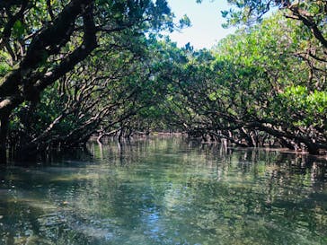 アマニコガイドサービスに投稿された画像（2020/10/4）