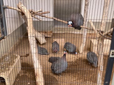 天王寺動物園に投稿された画像（2020/10/4）