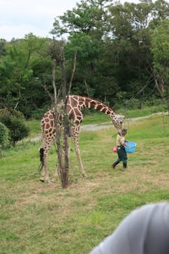 天王寺動物園に投稿された画像（2020/10/4）
