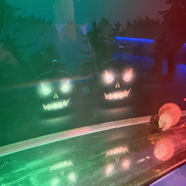 すみだ水族館に投稿された画像（2020/10/4）