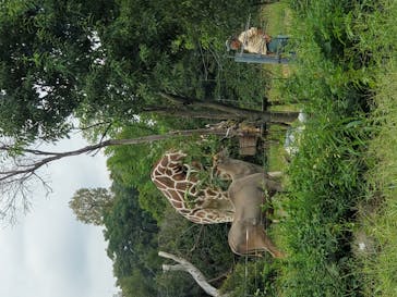 天王寺動物園に投稿された画像（2020/10/4）