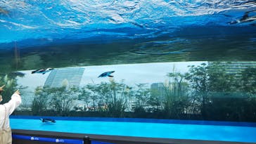 サンシャイン水族館に投稿された画像（2020/10/4）