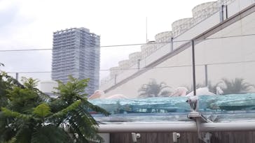 サンシャイン水族館に投稿された画像（2020/10/4）